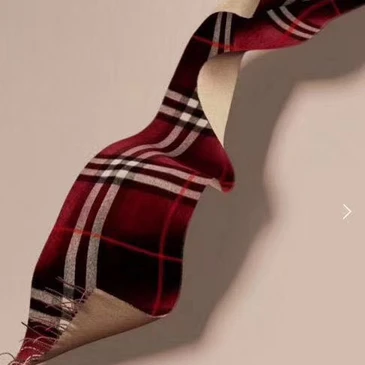 Burberry Fashion Unisex Scarf #22764