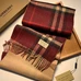 4Burberry Fashion Unisex Scarf #22764