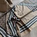 8Burberry Fashion Scarf #21684