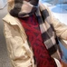 1Burberry Fashion Scarf #22785