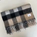 5Burberry Fashion Scarf #22789