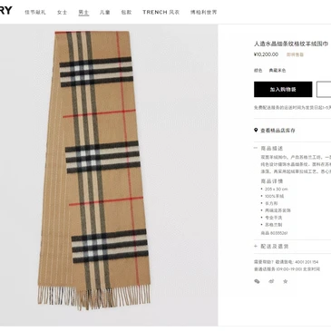 Burberry Fashion Scarf #21676