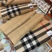 4Burberry Fashion Scarf #21676