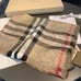 7Burberry Fashion Scarf #22791