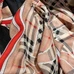 7Burberry Fashion Scarf #21675