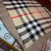 1Burberry Fashion Scarf #21679