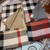 3Burberry Fashion Scarf #21679