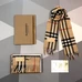 5Burberry Fashionable Scarf #24556