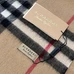 6Burberry Fashionable Scarf #24556