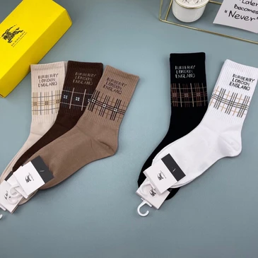 Burberry Fashion Women Socks #24952