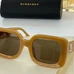 5Burberry Fashion Sunglasses #22794