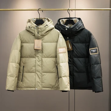 Burberry Men Fashionable Down Coats #20988