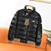 4Burberry Fashionable Down Coats #21364