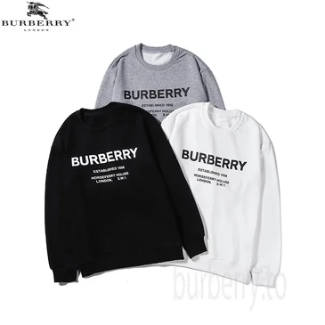 Burberry Fashion Hoodies #25510