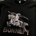 9Burberry Men Fashionable Hoodies #22099