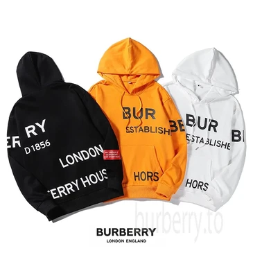 Burberry Fashion Hoodies #25144