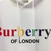 7Burberry Men Fashionable Hoodies #22090