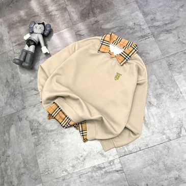 Burberry Fashionable Hoodies #24645