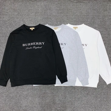 Burberry Fashionable Hoodies #24686