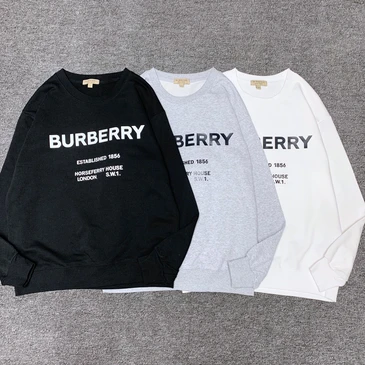 Burberry Fashionable Hoodies #24691