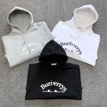 Burberry Fashionable Hoodies #23325