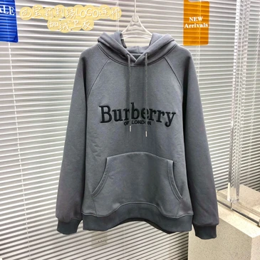 Burberry Fashionable Hoodies #22076