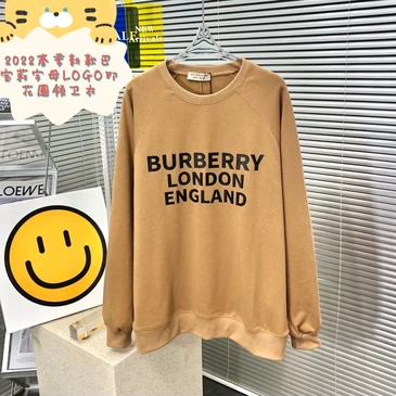 Burberry Fashionable Hoodies #22751