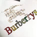 5Burberry Men Fashionable Hoodies #22058