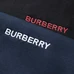 9Burberry Men Fashionable Hoodies #24312