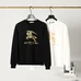 1Burberry Unisex Fashionable Hoodies #24656