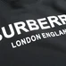 6Burberry Fashionable Hoodies #24666