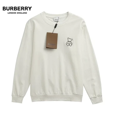 Burberry Fashionable Hoodies #24604