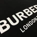 8Burberry Unisex Fashionable Hoodies #24605