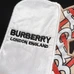 7Burberry Fashionable Hoodies #24613