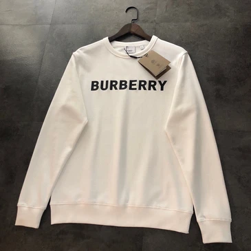 Burberry Unisex Fashionable Hoodies #22969