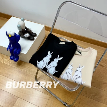 Burberry Unisex Fashionable Hoodies #24510