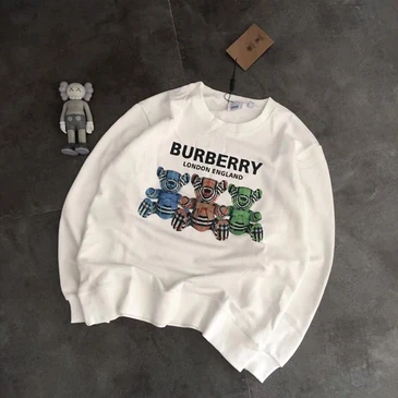 Burberry Unisex Fashionable Hoodies #24512