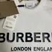 4Burberry Fashionable Hoodies #23756