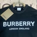 5Burberry Fashionable Hoodies #23756