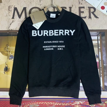 Burberry Fashionable Hoodies #23694