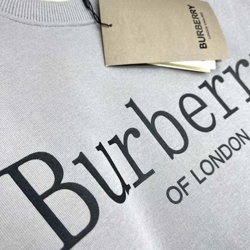 Burberry Unisex Fashionable Hoodies #24579