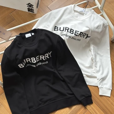 Burberry Fashionable Hoodies #22455