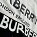 7Burberry Fashionable Hoodies #22455