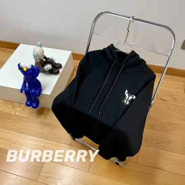 Burberry Unisex Fashionable Hoodies #24401