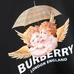 7Burberry Unisex Fashionable Hoodies #24422