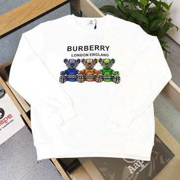 Burberry Unisex Fashionable Hoodies #24581