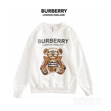 Burberry Fashion Hoodies #25015