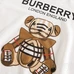 6Burberry Fashion Hoodies #25015