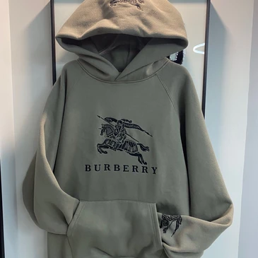 Burberry Fashionable Hoodies #22002