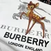 9Burberry Unisex Fashionable Hoodies #24355